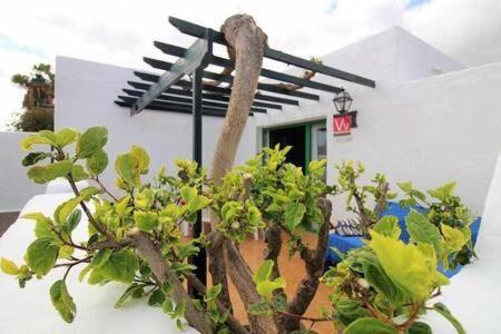 Sa Calma Beach House Коста-Тегисе Экстерьер фото